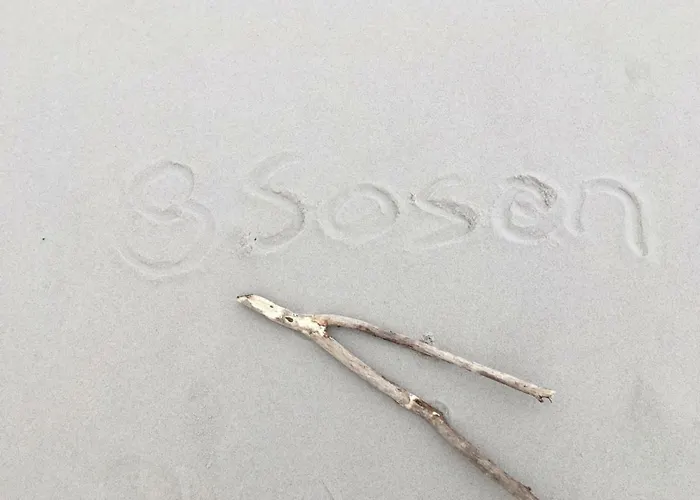 8 Sosen بيت للعطل